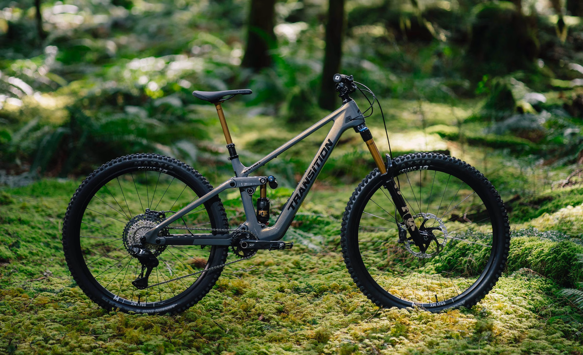Sentinel Carbon Desert Dusk Complete In The Wild