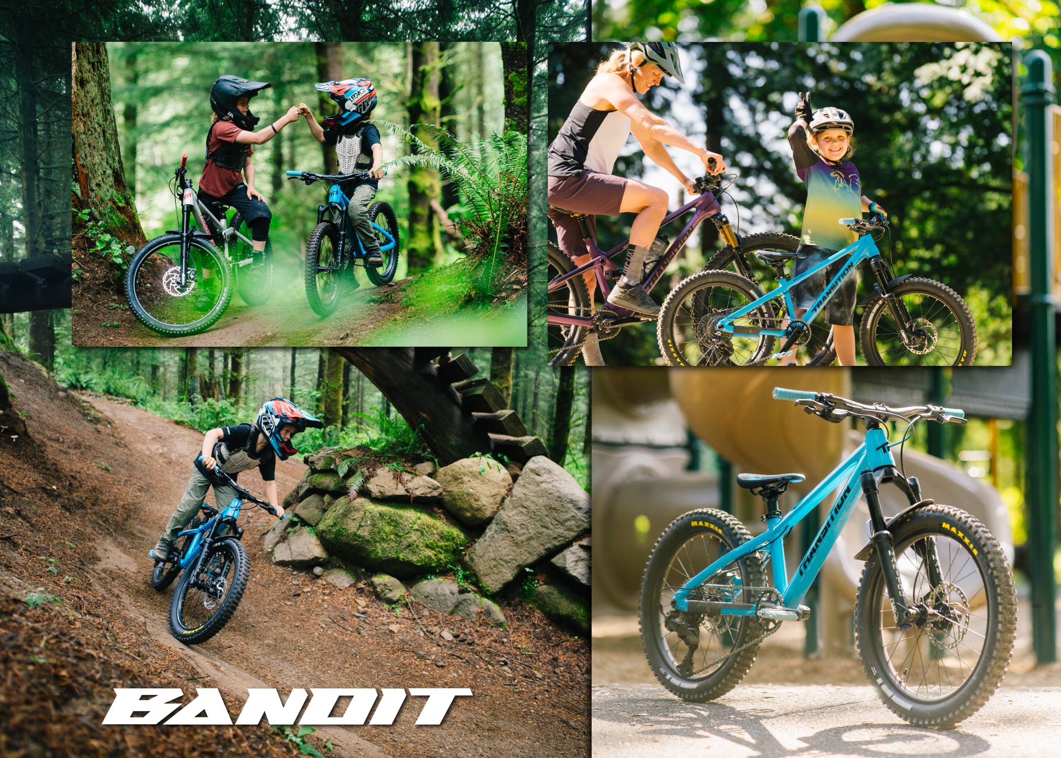 Bandit Collage
