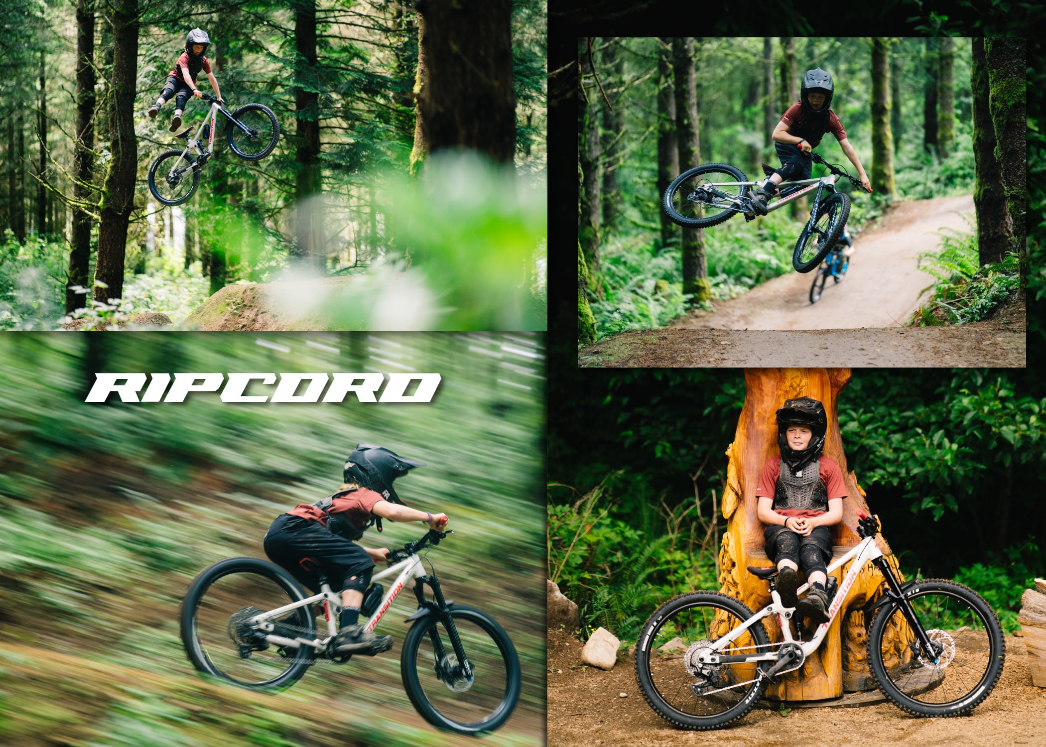 Ripcord Collage