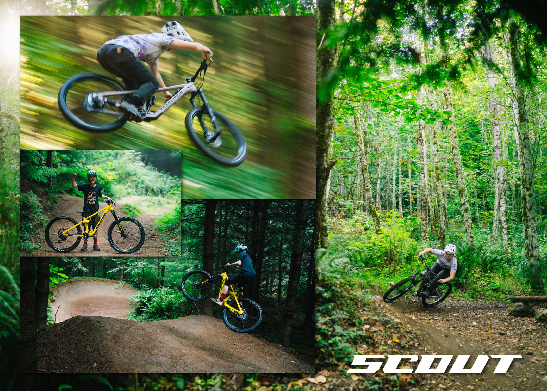 Scout Collage