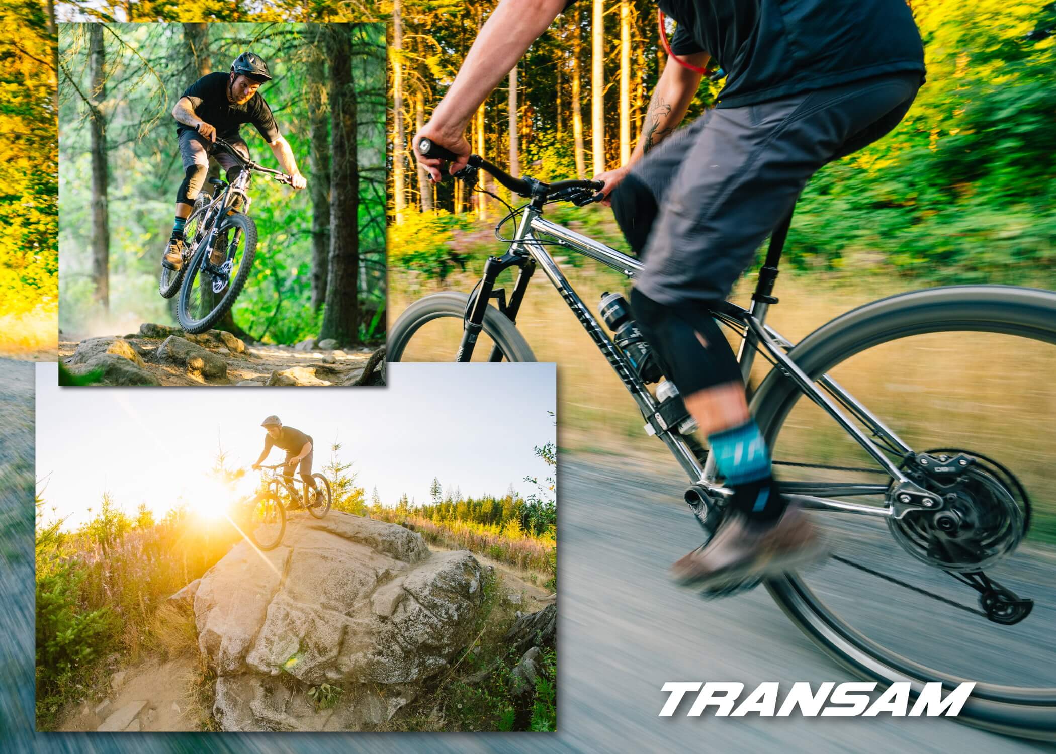 TransAM Collage